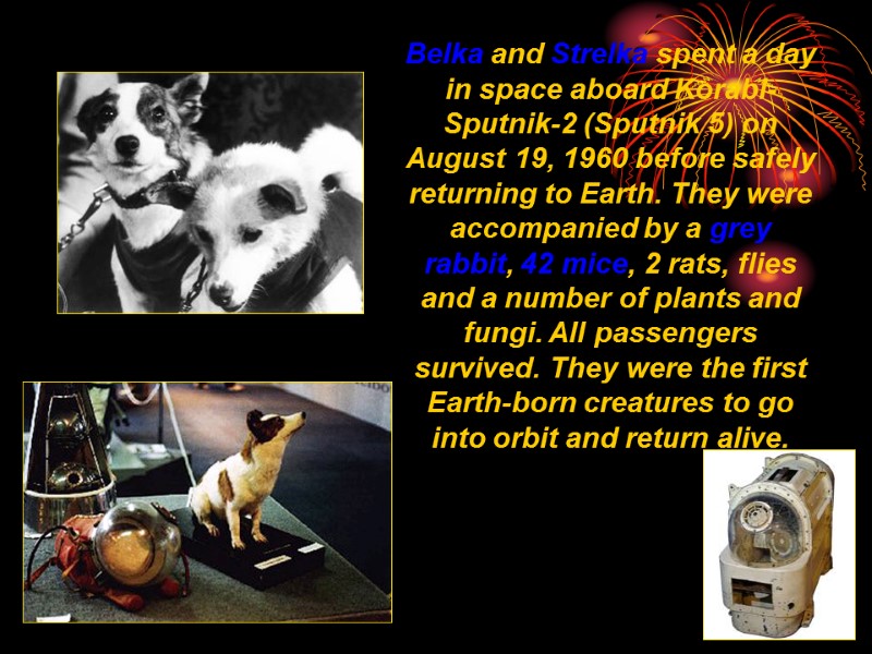 Belka and Strelka spent a day in space aboard Korabl-Sputnik-2 (Sputnik 5) on August